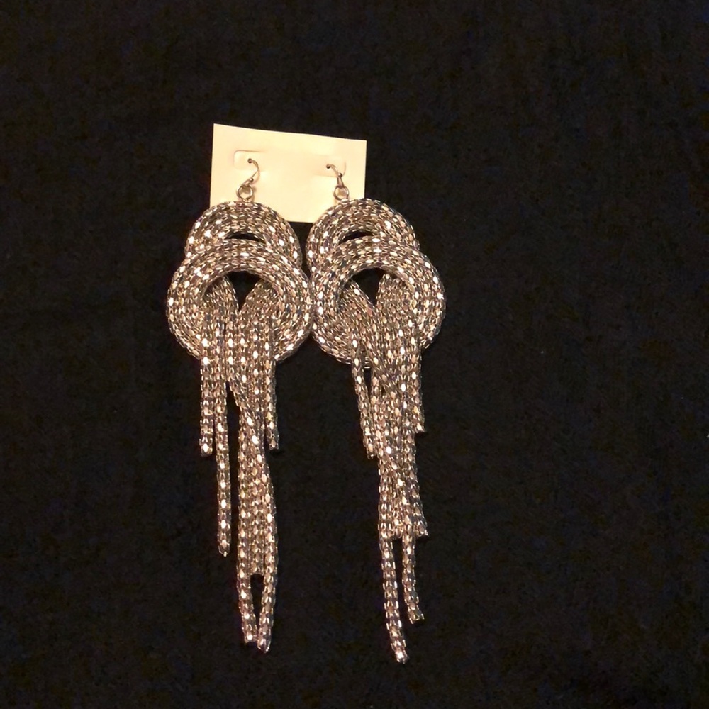 Silver Double Hoop Earings